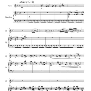 Adagio in G m - Flauto e Pianoforte - Enzo Avitabile