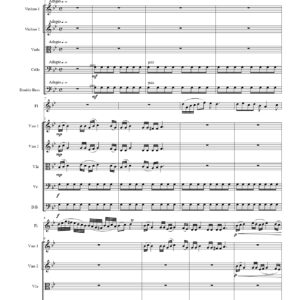 Adagio in G m - Flauto e orchestra d'Archi - Enzo Avitabile