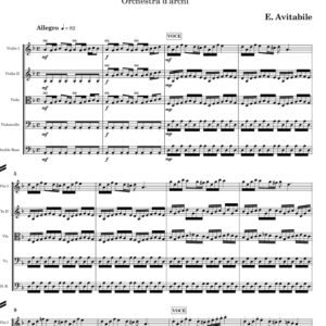 6-Napoletana - Orchestra d'archi - Partitura completa
