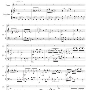 Concerto in A minor - Trascrizione per flauto e pianoforte dal concerto in A m per fl. e och. d'archi I. - Enzo Avitabile