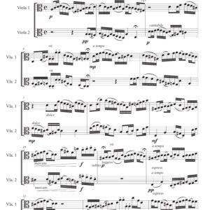 Concerto per due viole II - Enzo Avitabile