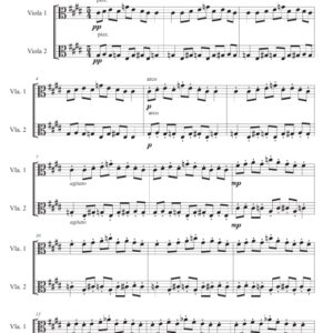 Concerto per due viole III - Enzo Avitabile