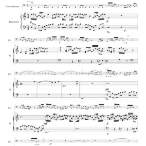 Scampia suite - contrabbasso e pianoforte II